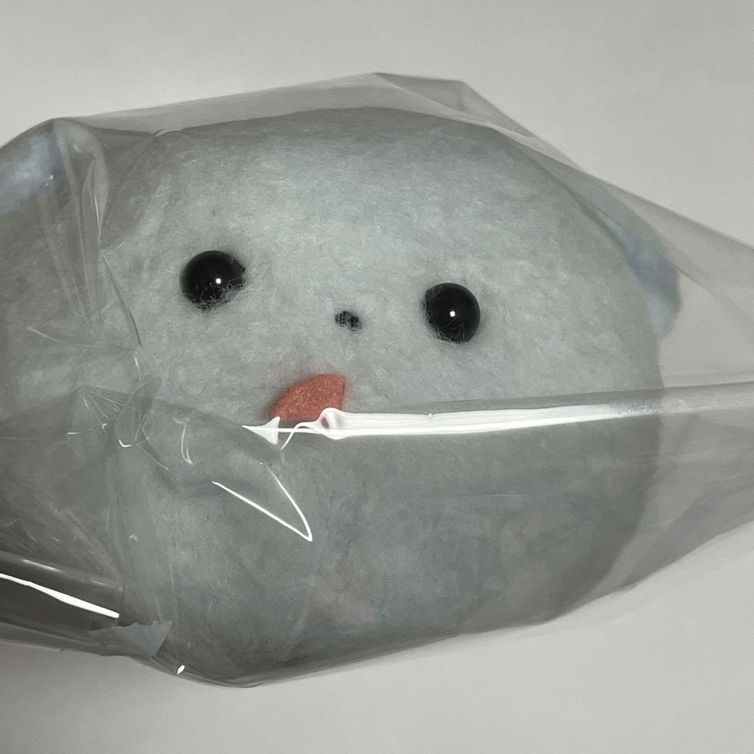 Amazon.co.jp: ほわんほわん よろこび しっぽぶんぶん